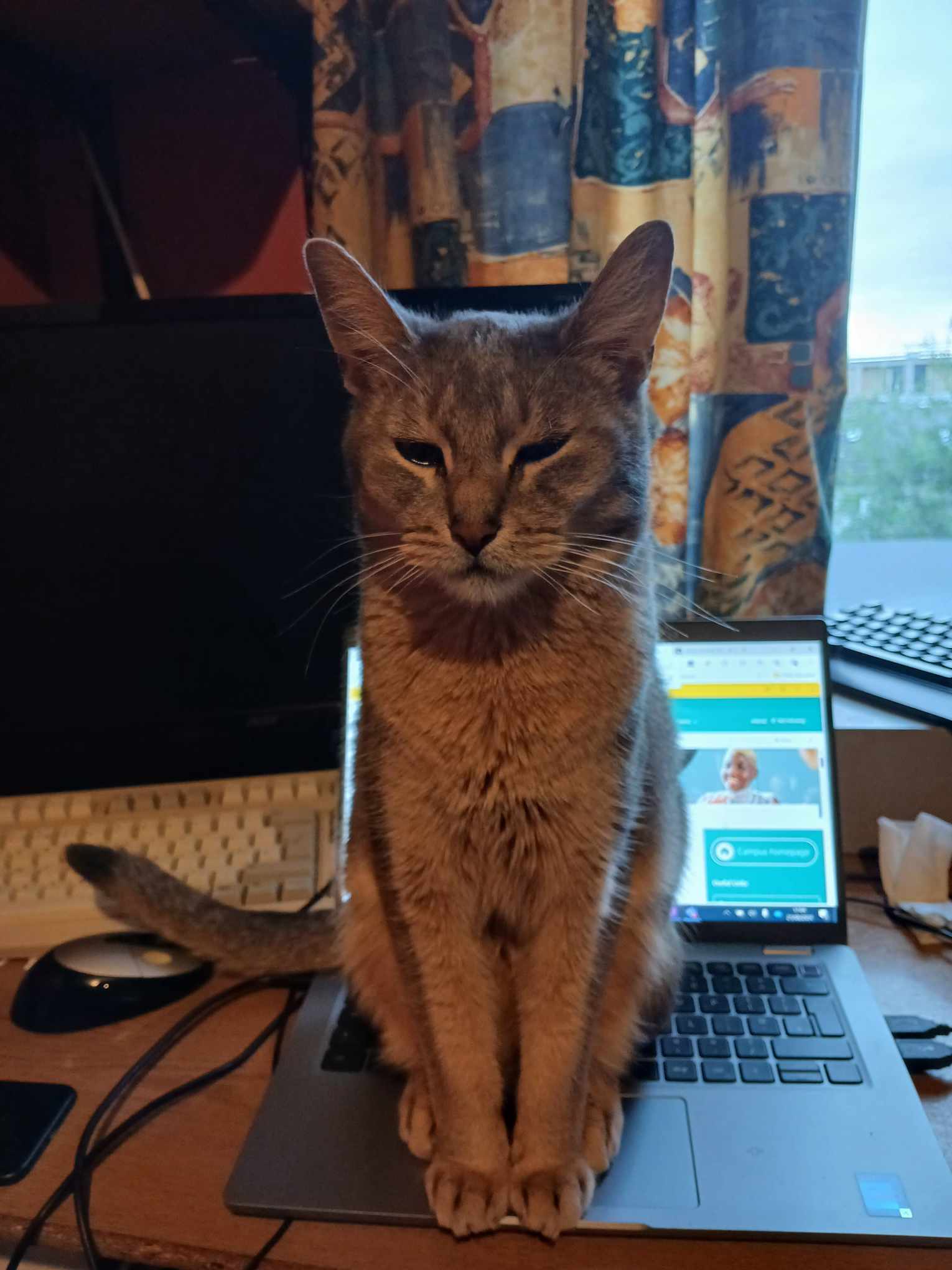 Thou shalt not work, human..jpg