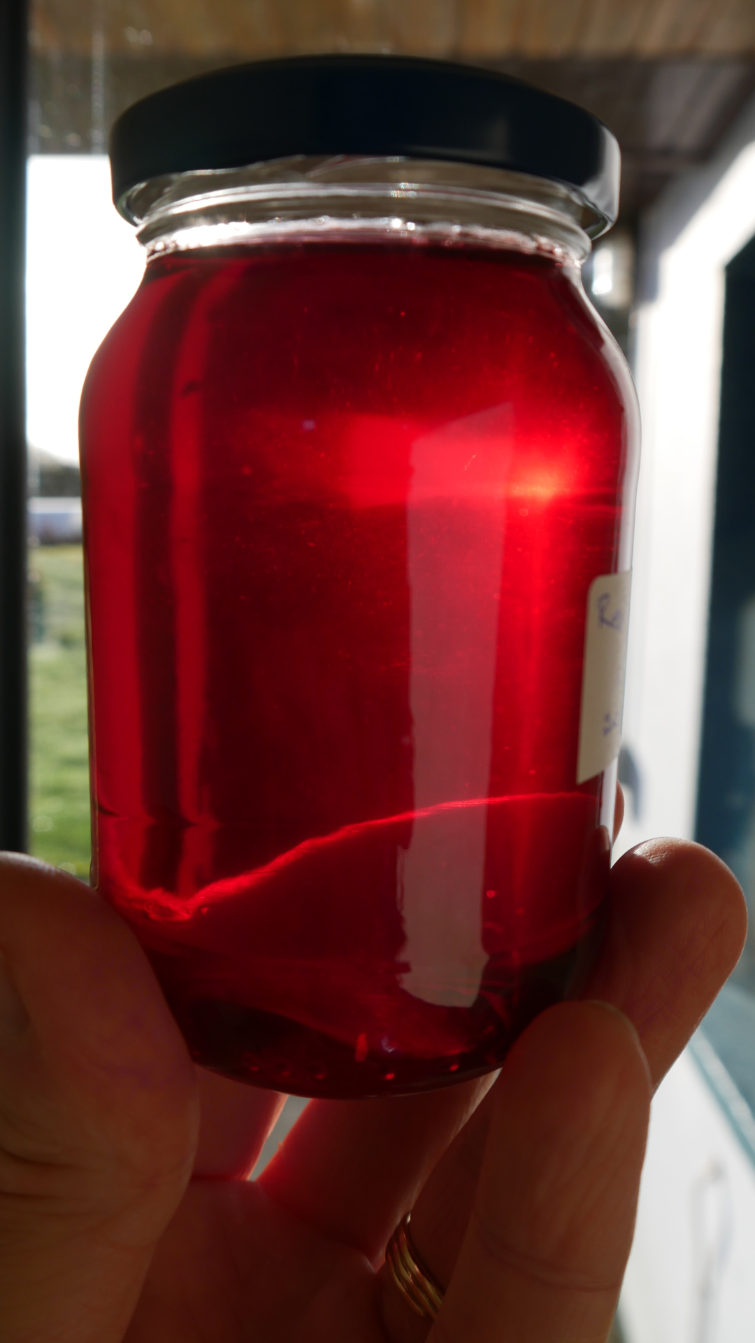 Red currant jelly.jpg