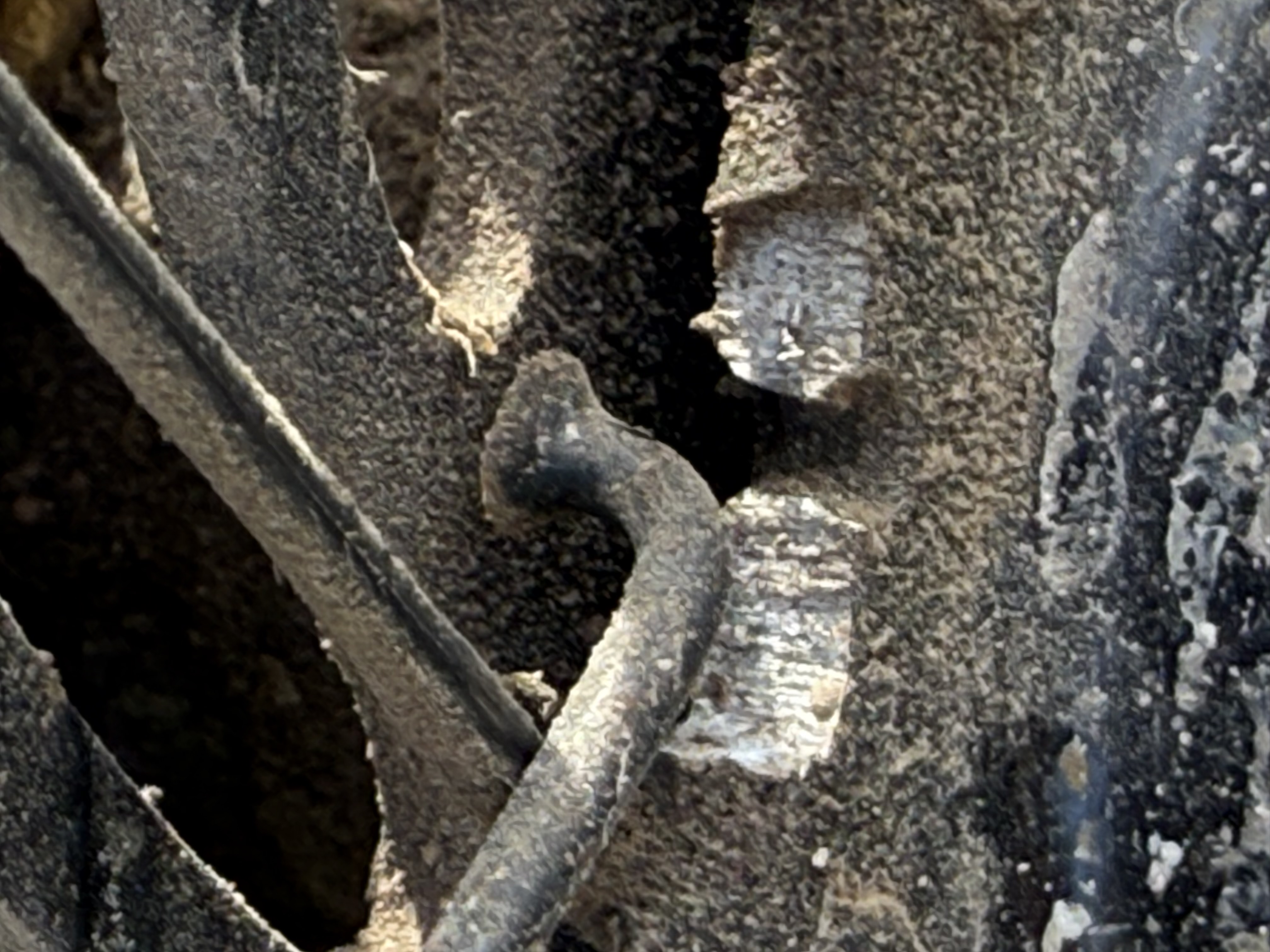 IMG_3669.jpeg
