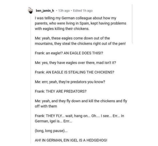 Eagle.jpg