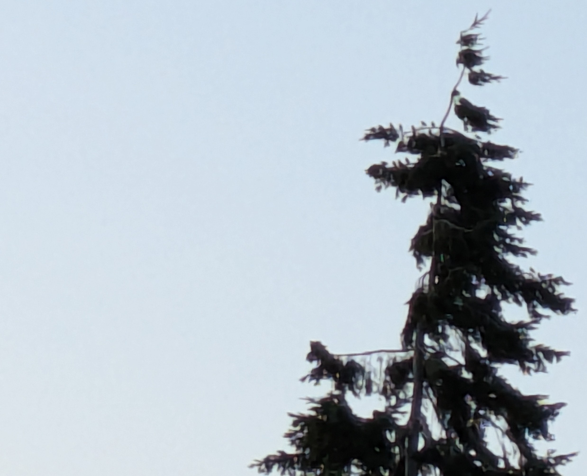 PXL_20250714_192639182~2.jpg