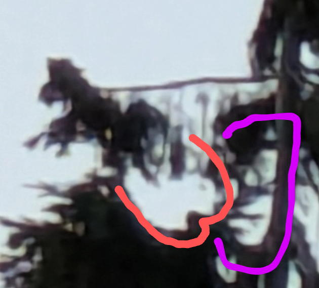 Screenshot_20250715-093753~2.png