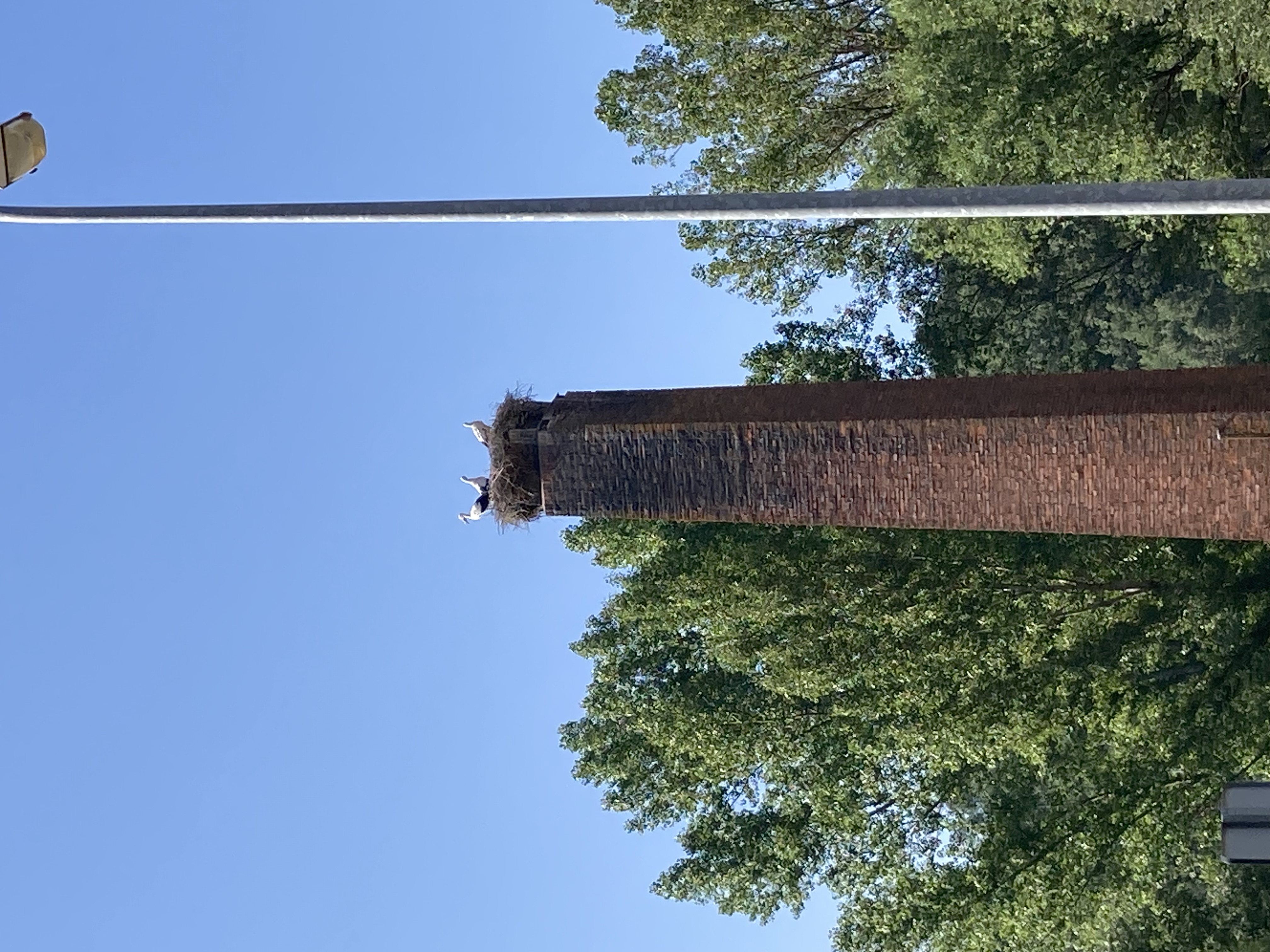 IMG_2006.jpeg