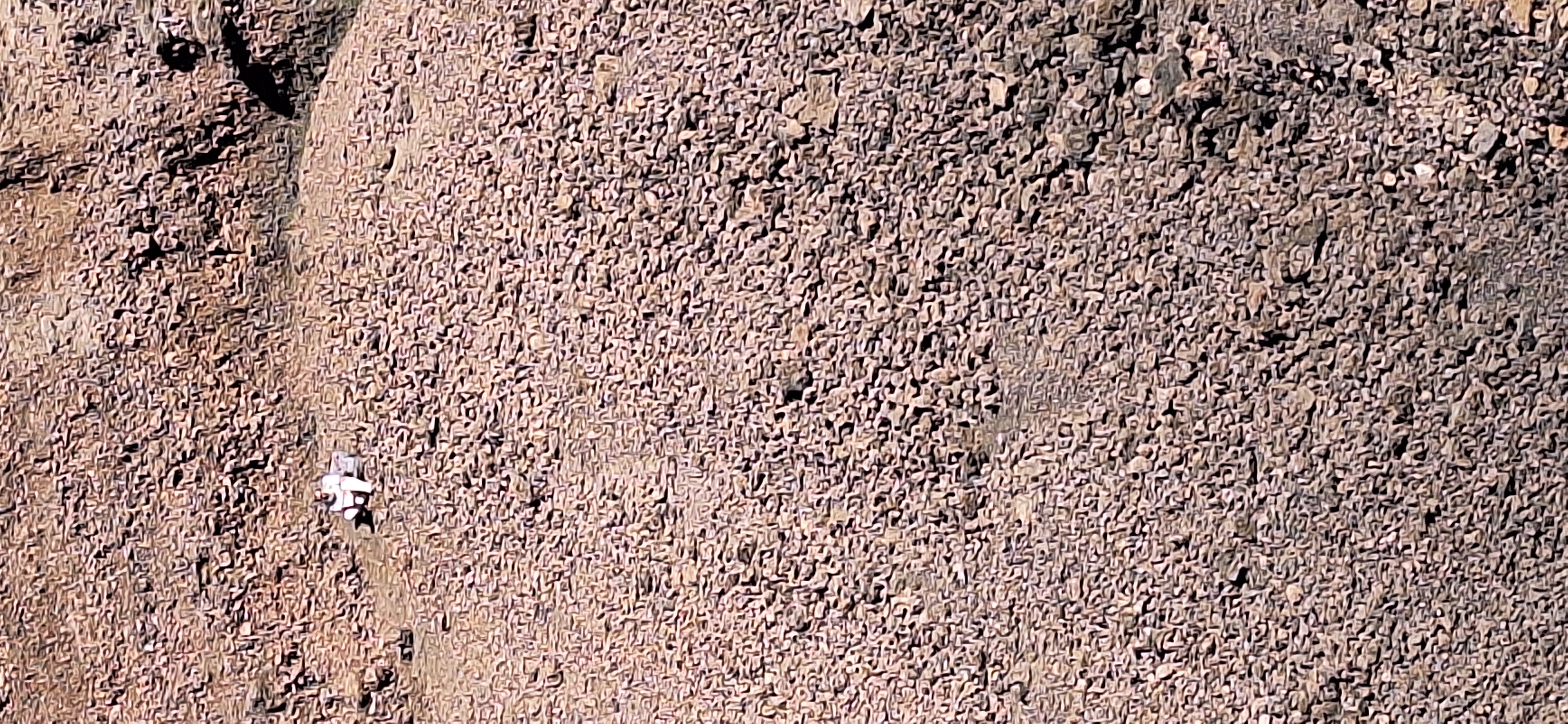 20250826_183254.jpg