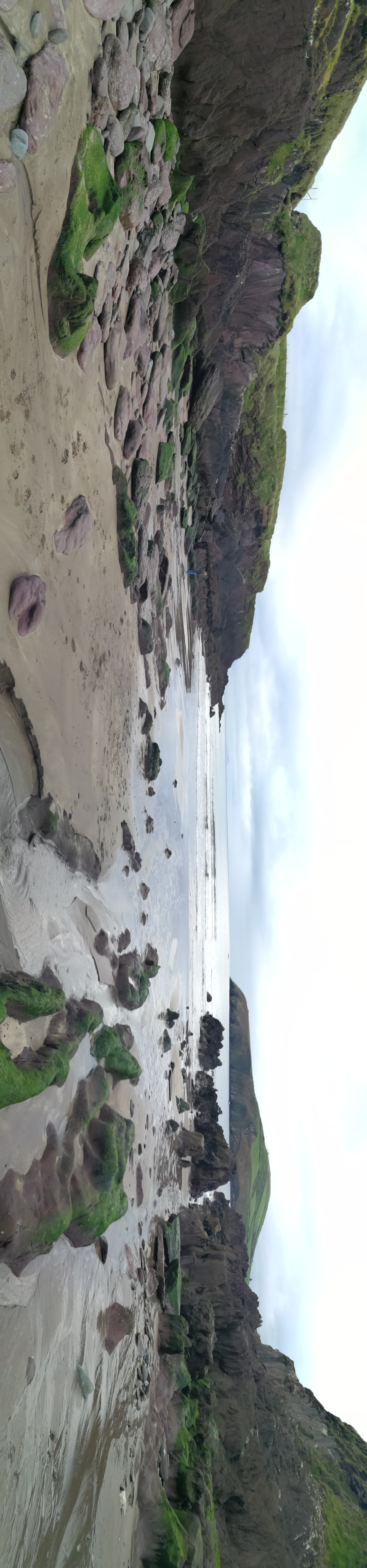 IMG_20251014_174615.jpg