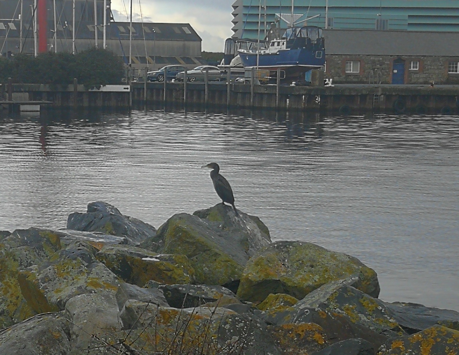 IMG_20251024_191346.jpg