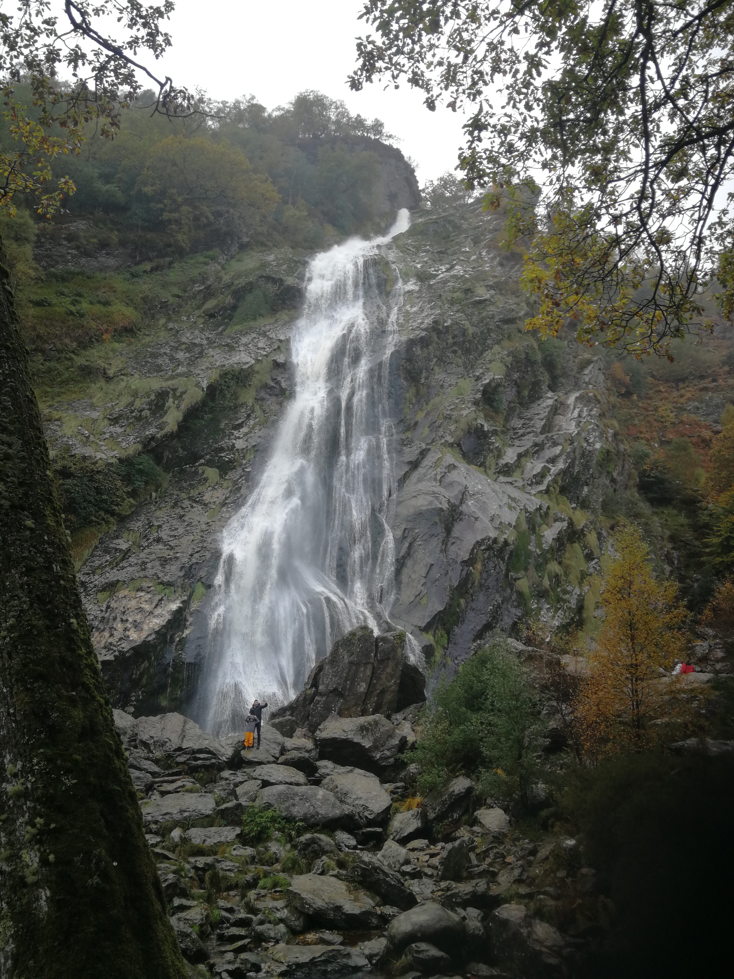 IMG_20251026_142559.jpg