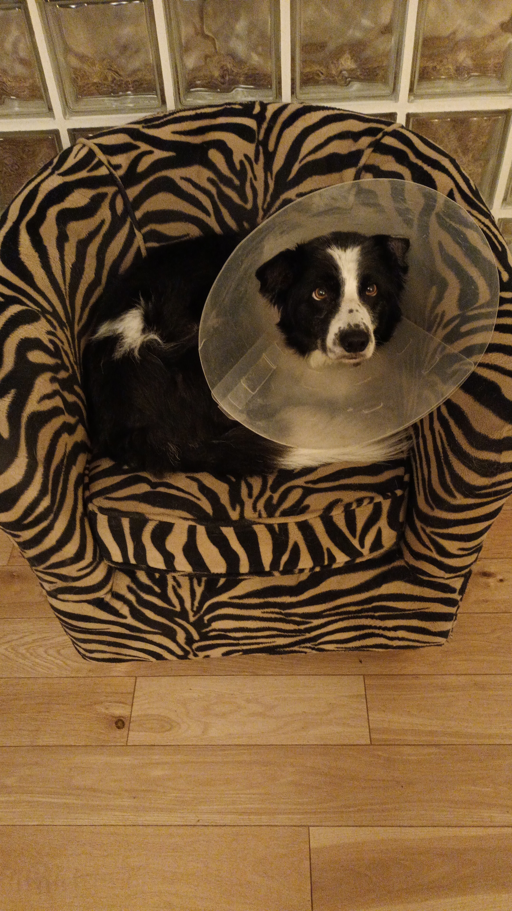 IMG-20251110-WA0006.jpeg