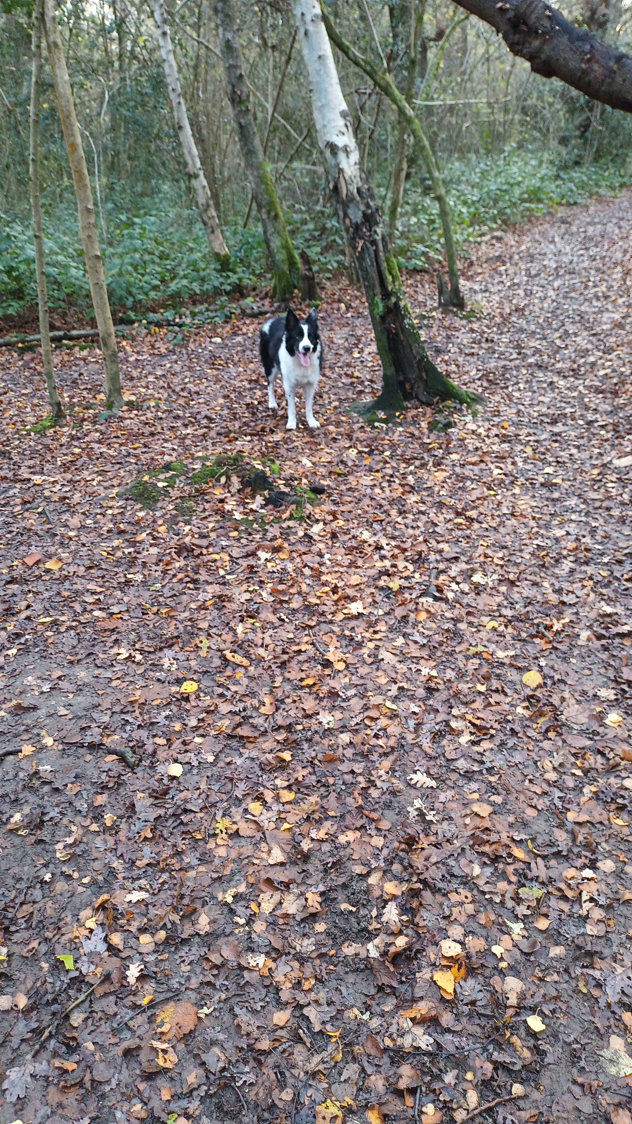 IMG-20251128-WA0000.jpeg