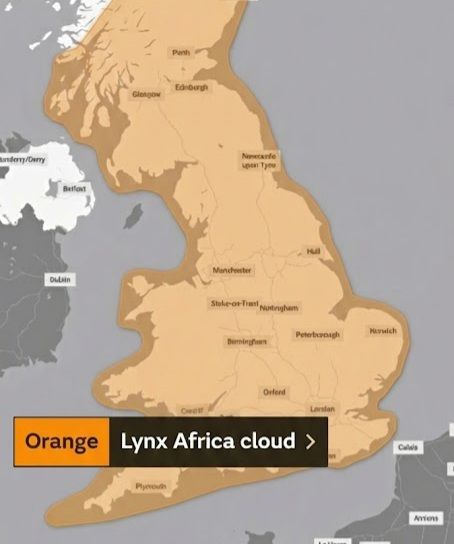 Lynx.jpg