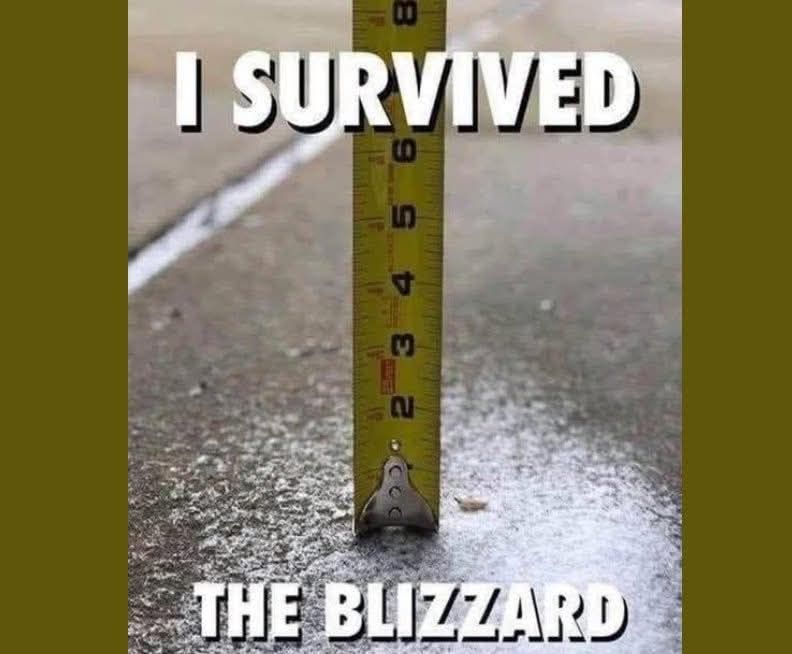 Blizzard.jpg