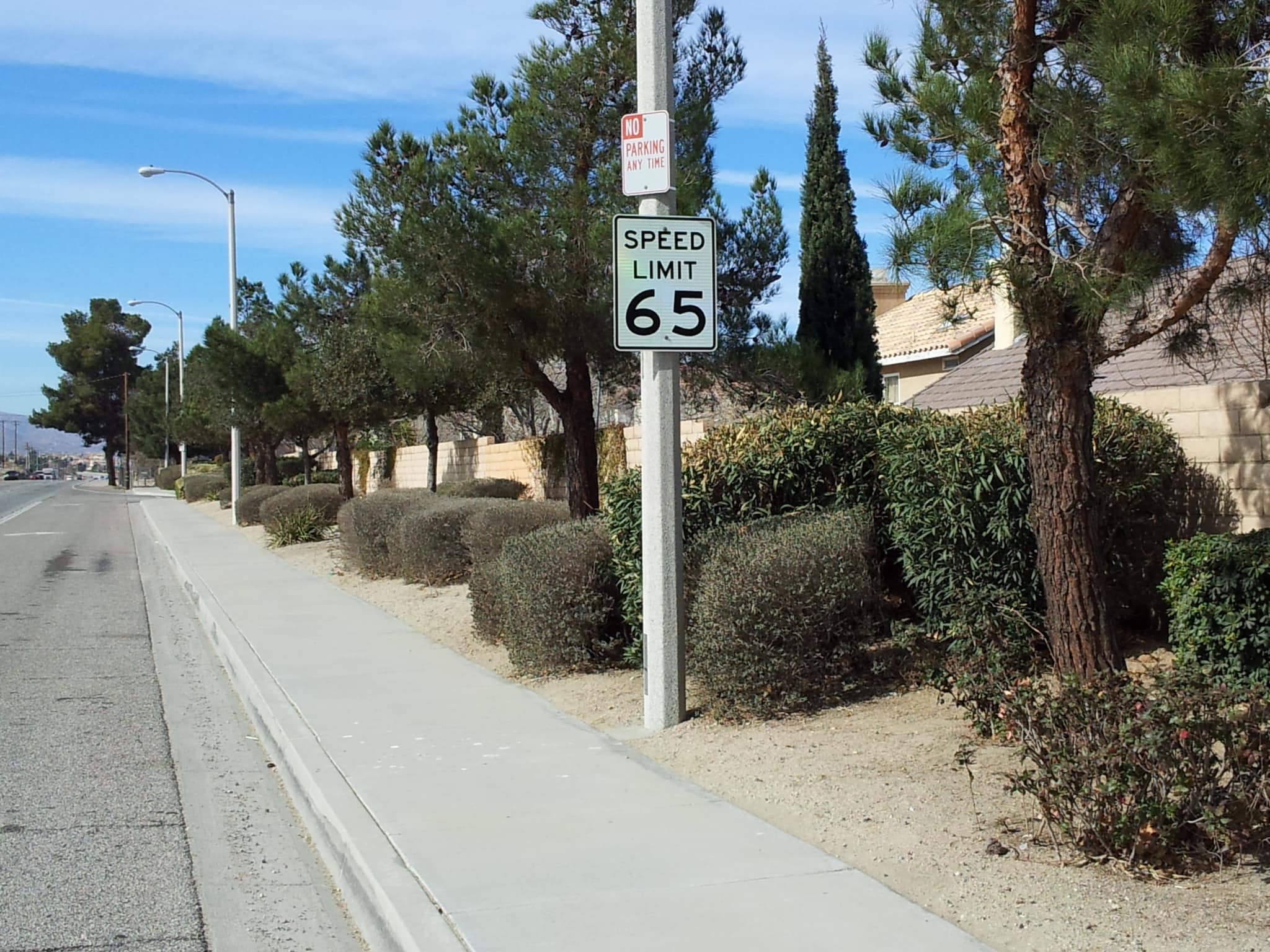 speed limit.jpg