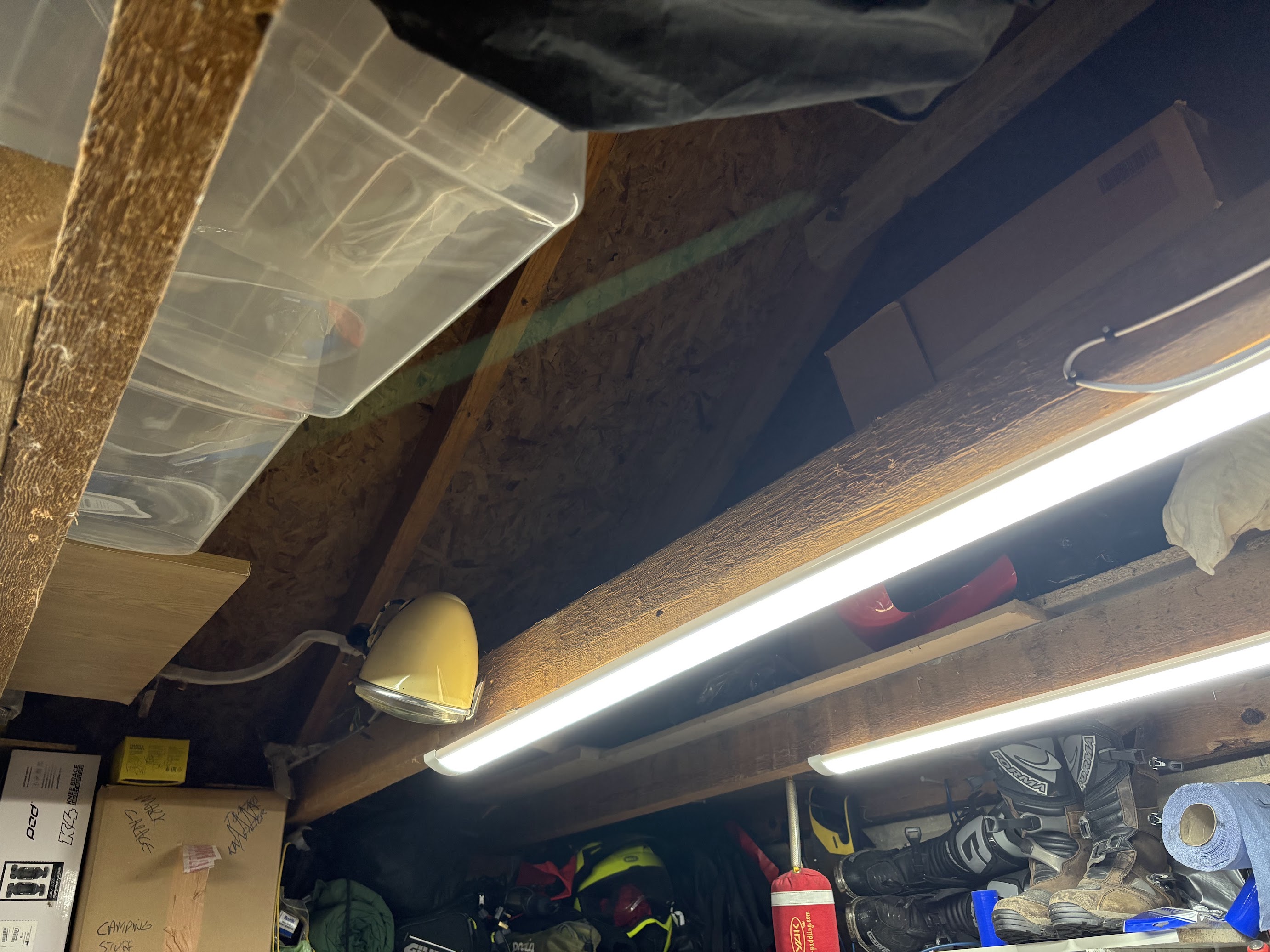 roof2.jpg