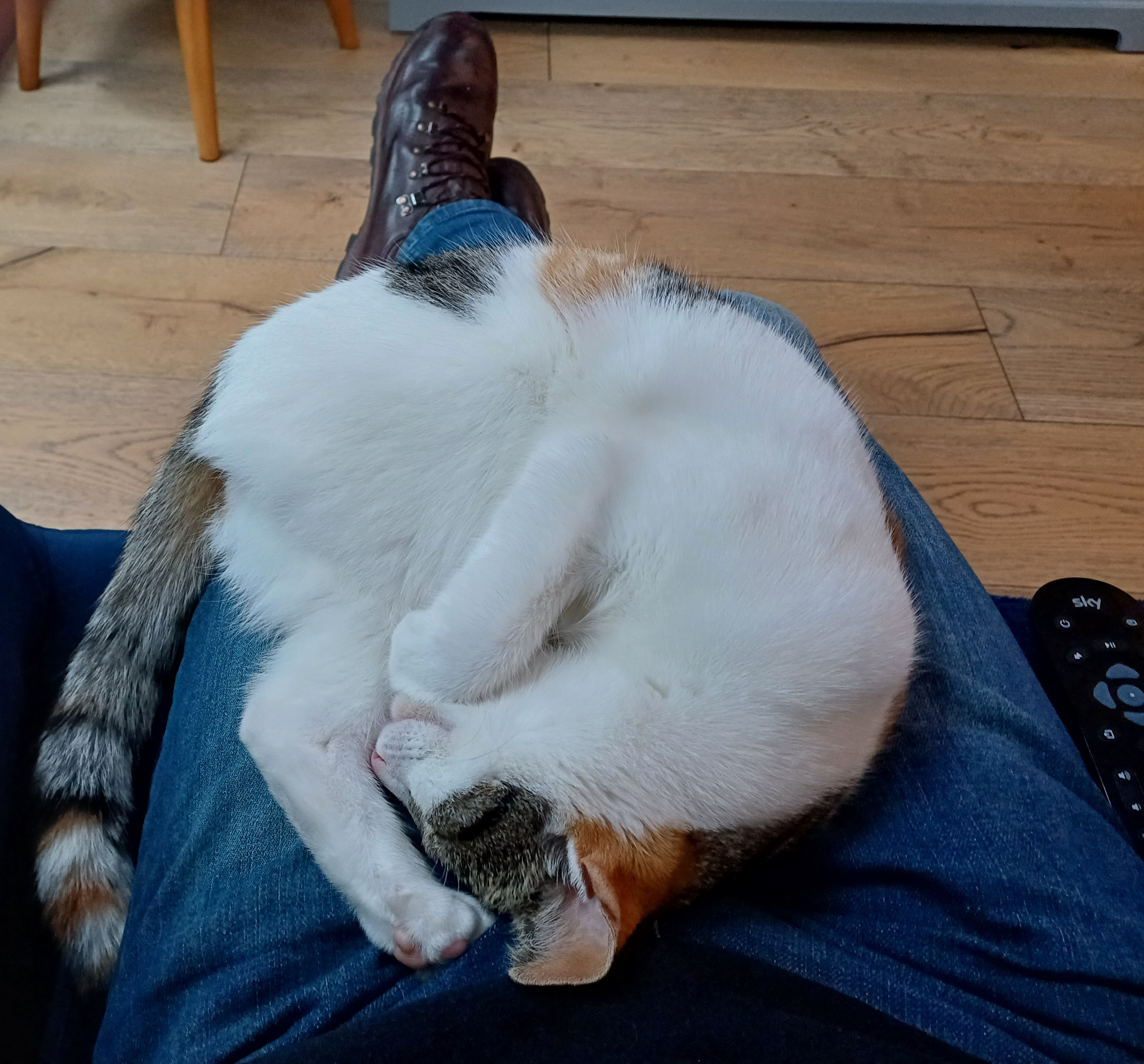 Ruby - Imgur (11).jpg