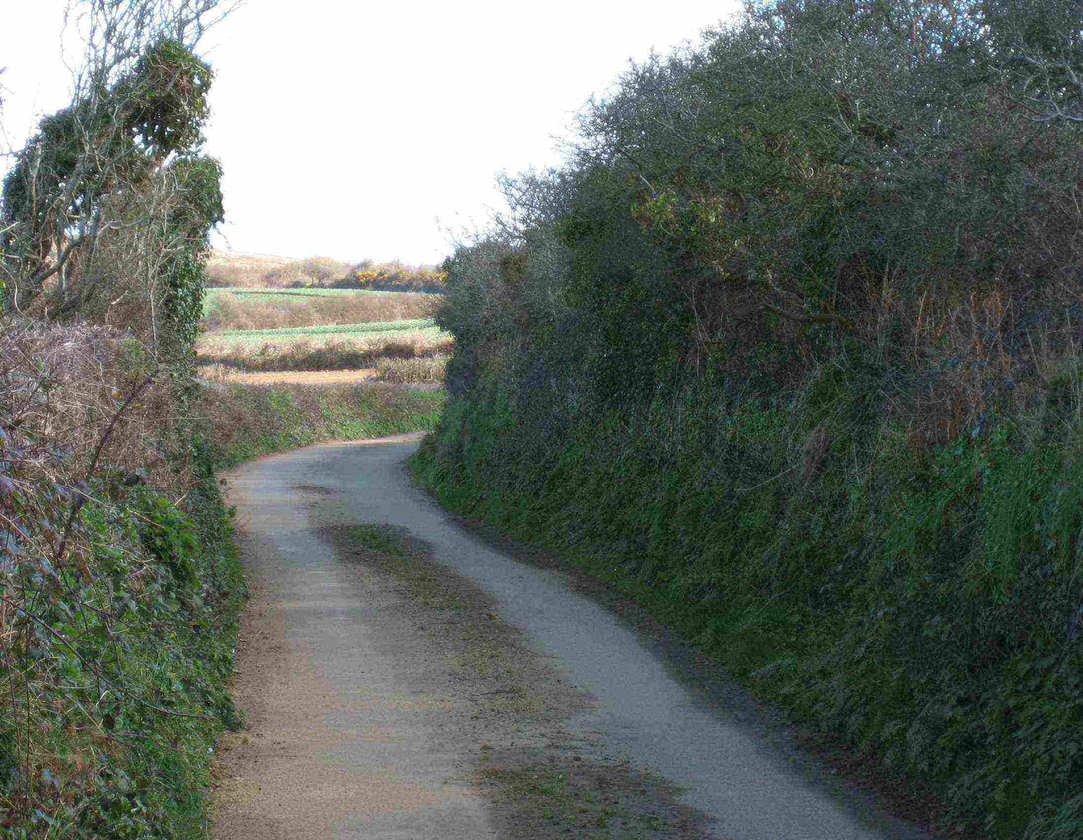 cornish lane1aa.jpg
