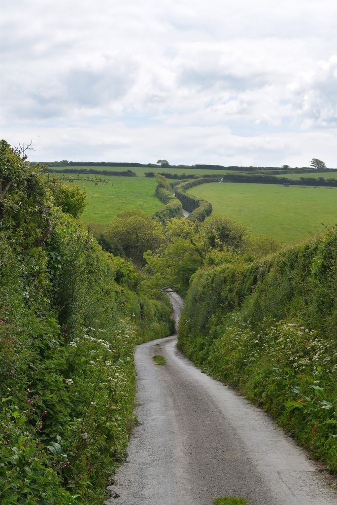 Cornish Lane1ab.jpg