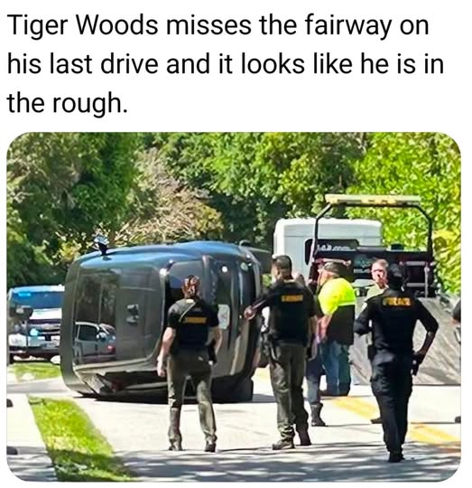 Tiger.jpg