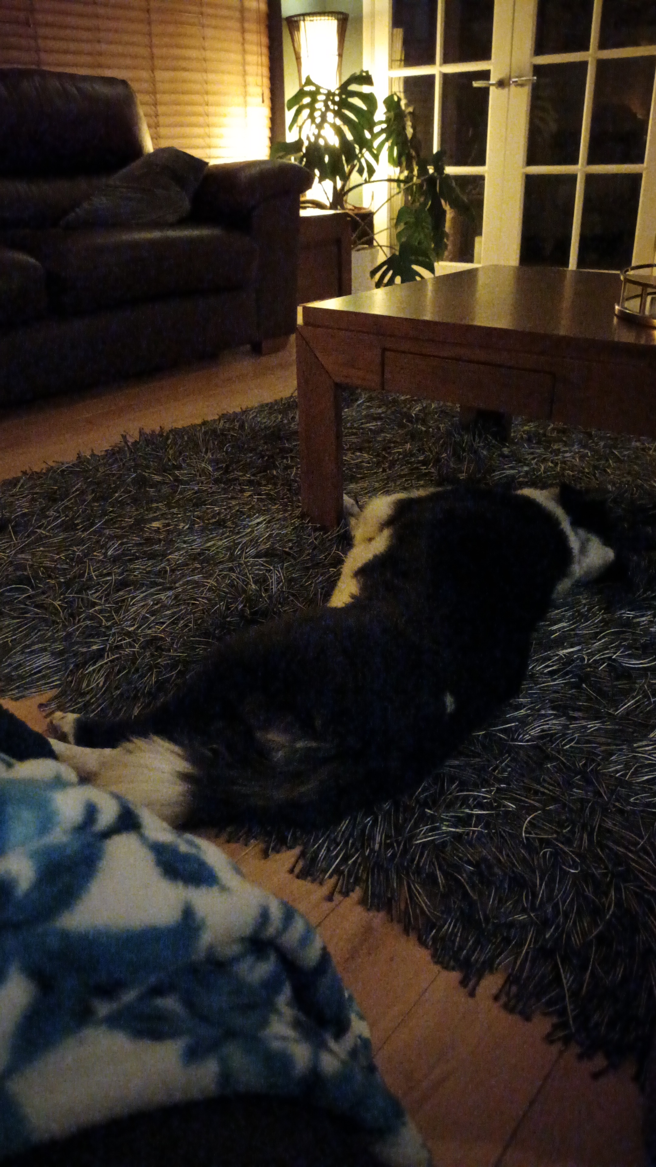 IMG-20260405-WA0028.jpeg