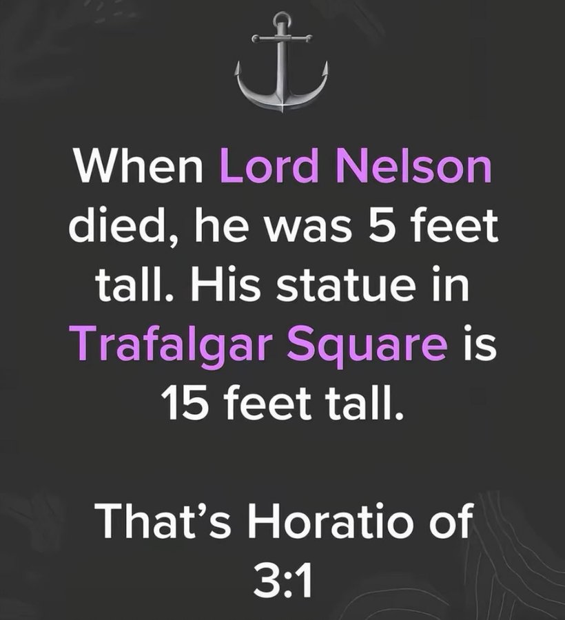 Nelson1aa.jpg