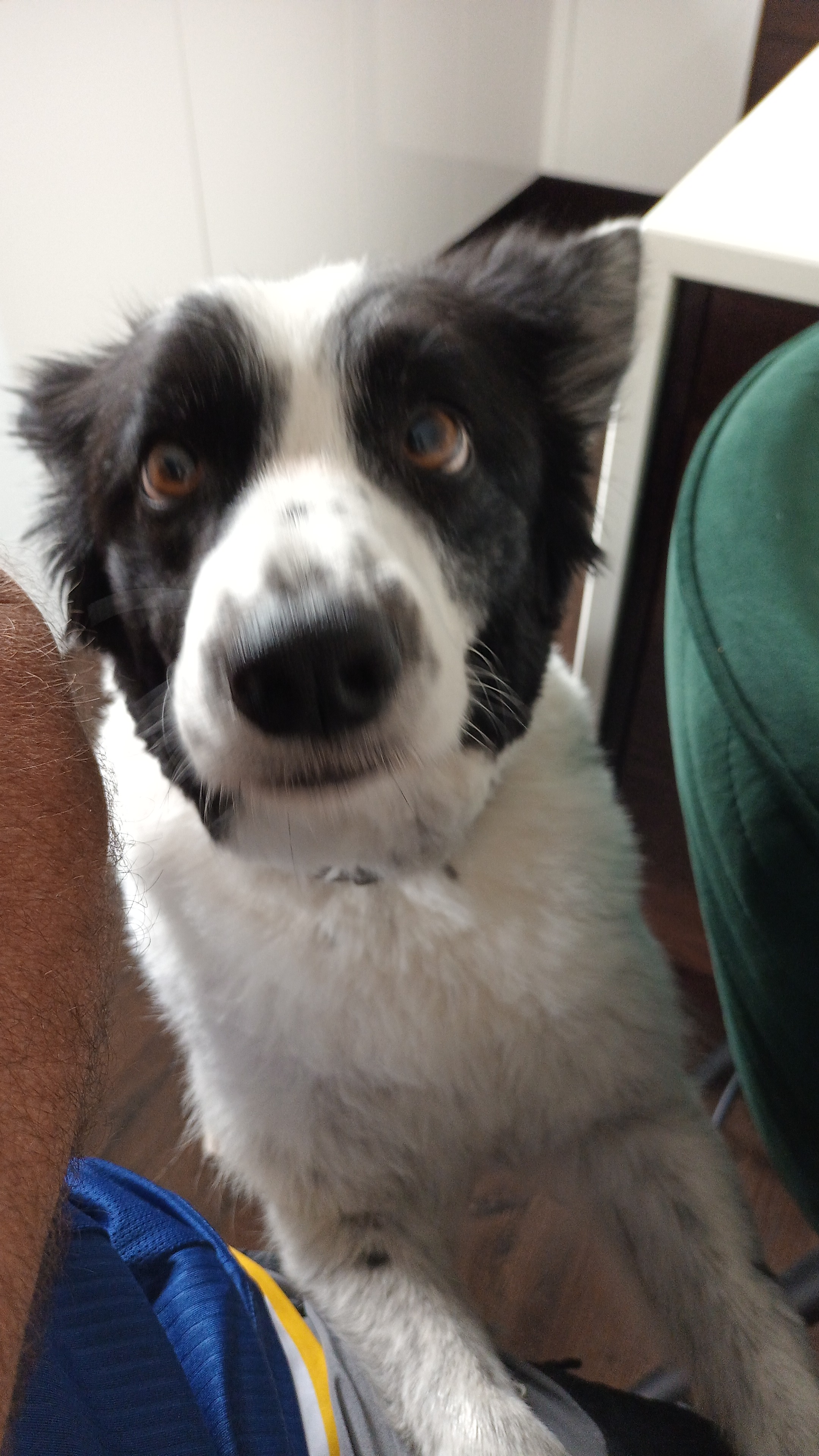 IMG-20260403-WA0002.jpeg
