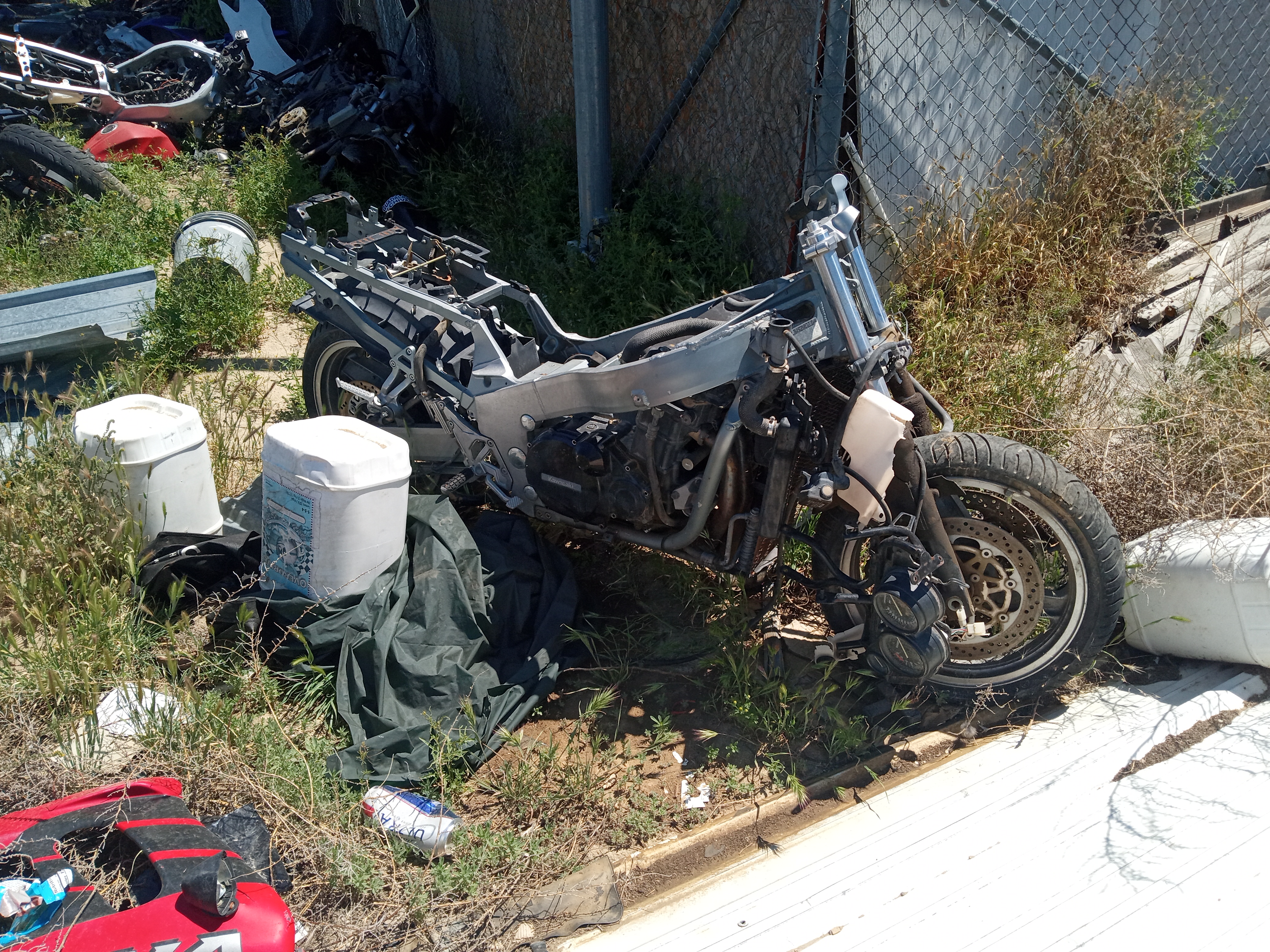 IMG_20260414_125206298.jpg