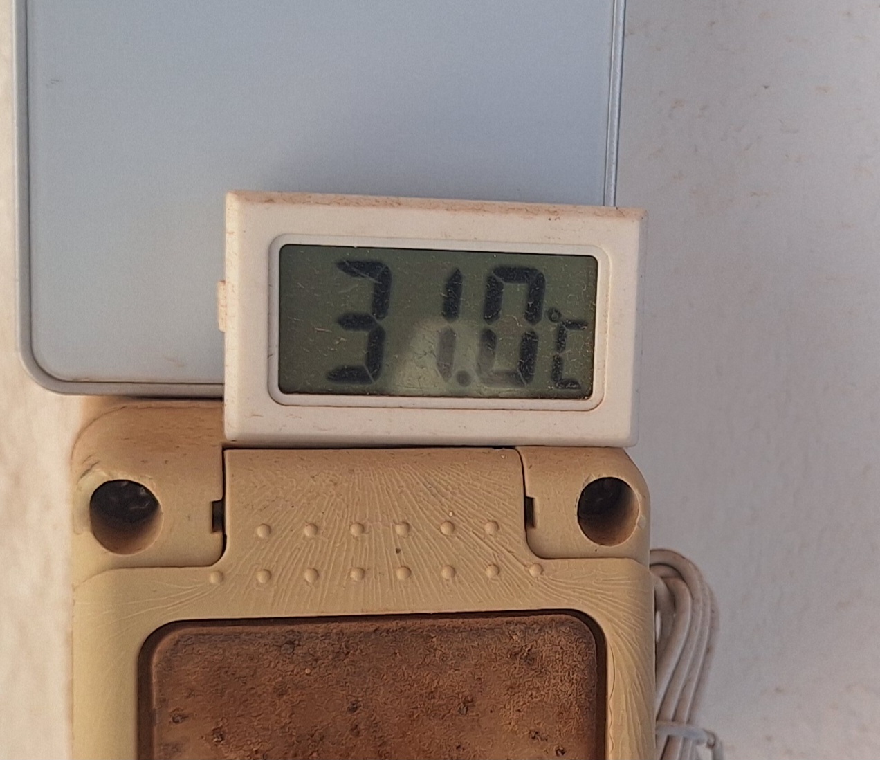 20260418_145507.jpg
