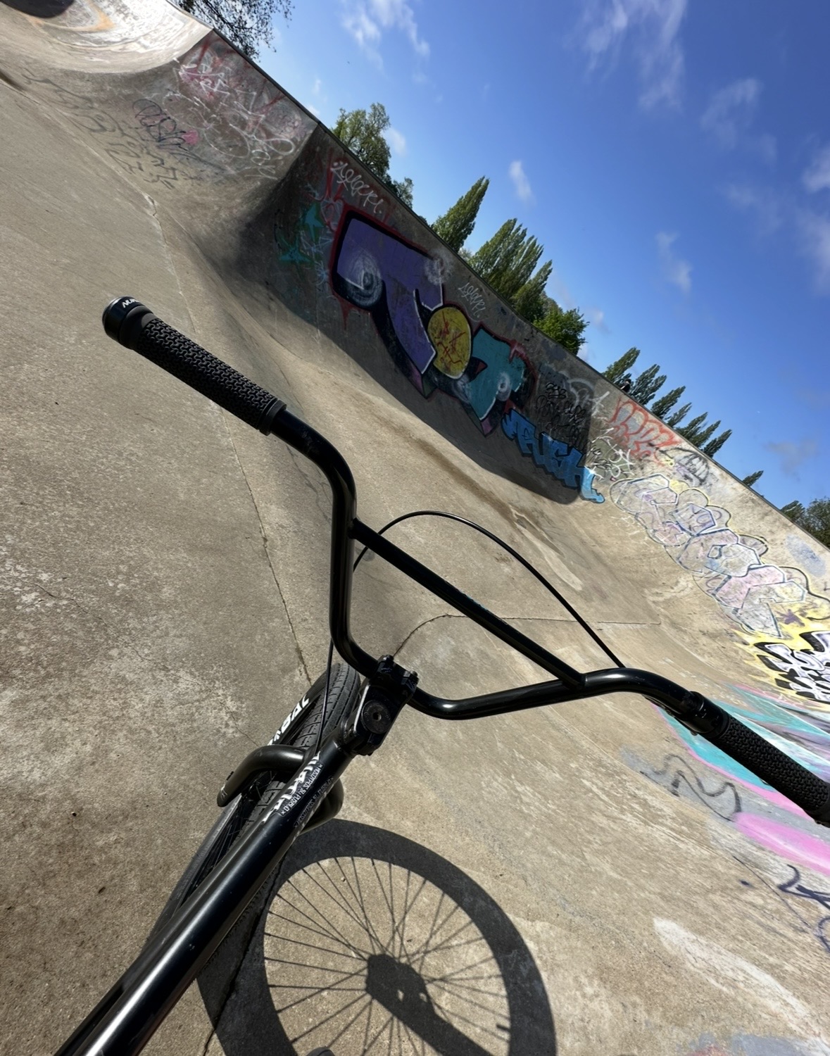 IMG_3392.jpeg