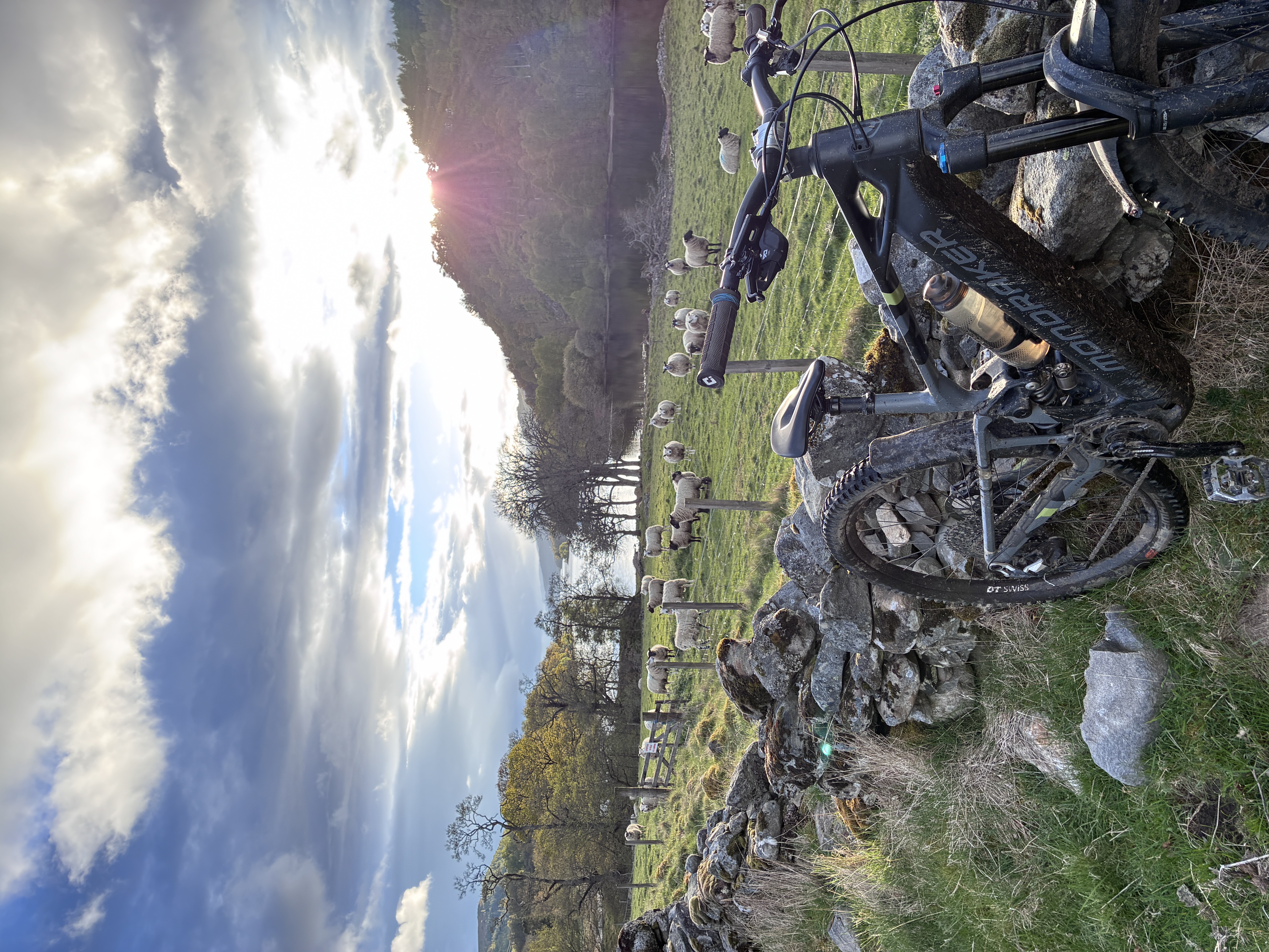 IMG_0230.jpeg