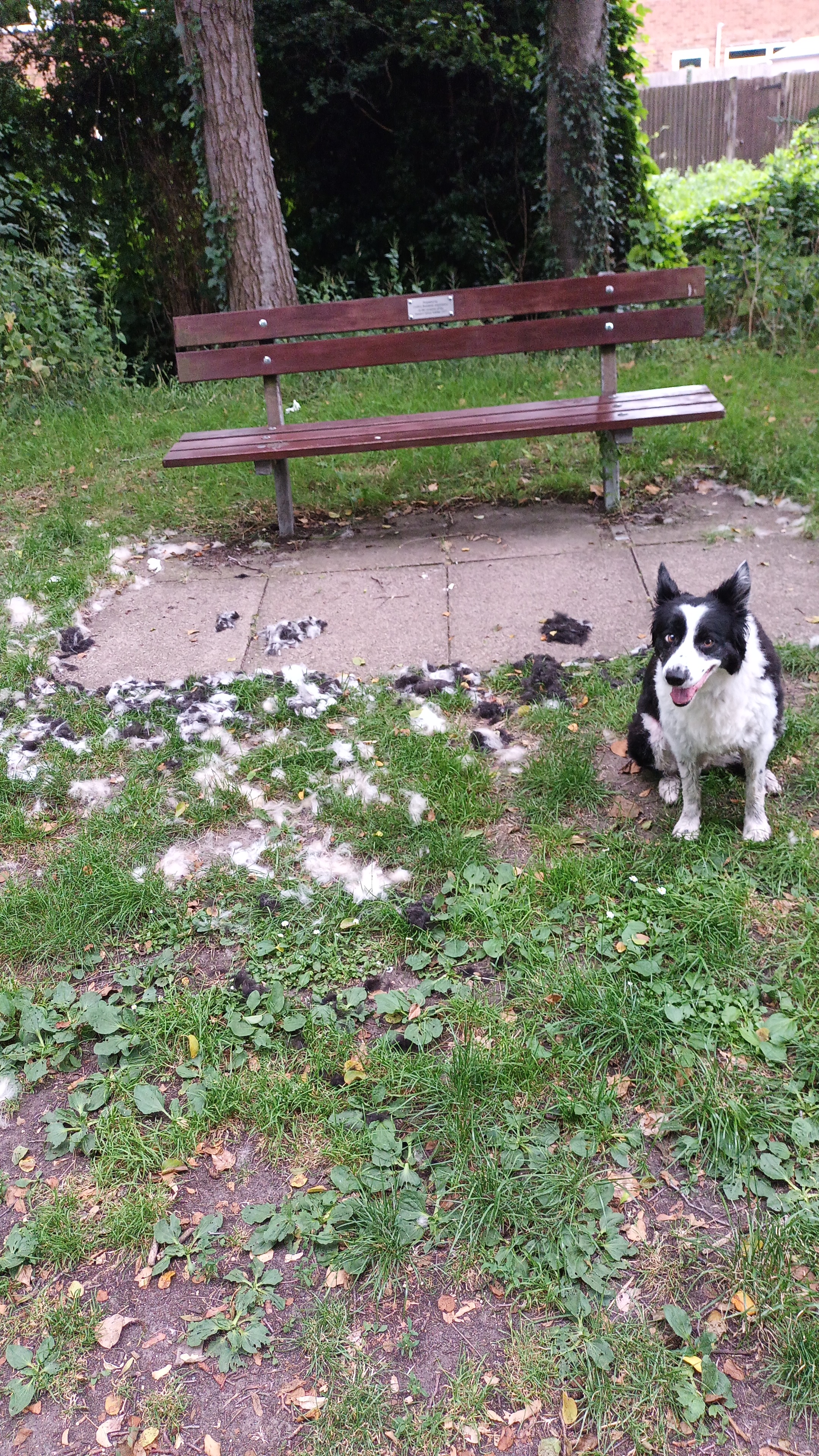 IMG-20260622-WA0011.jpeg