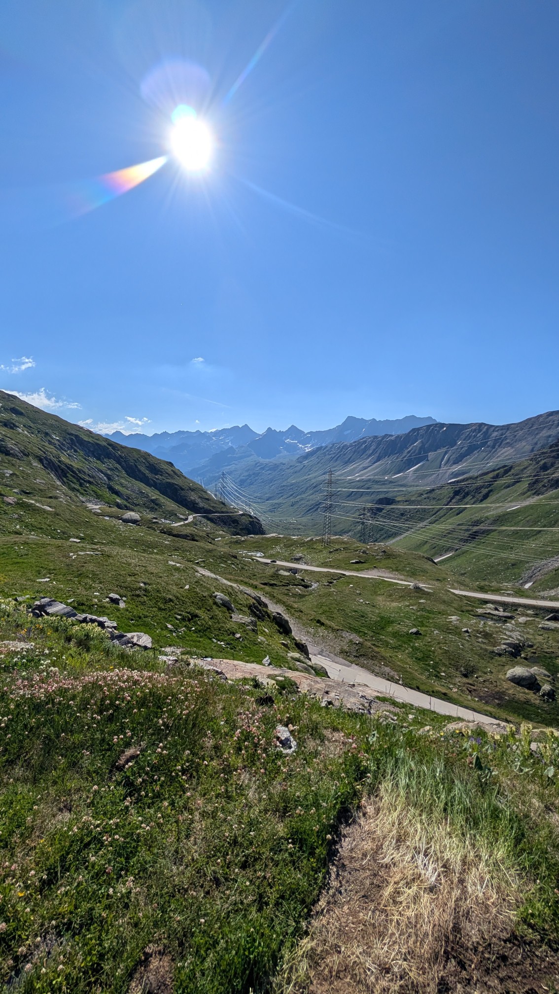 PXL_20260702_072010551_copy_1134x2016.jpg