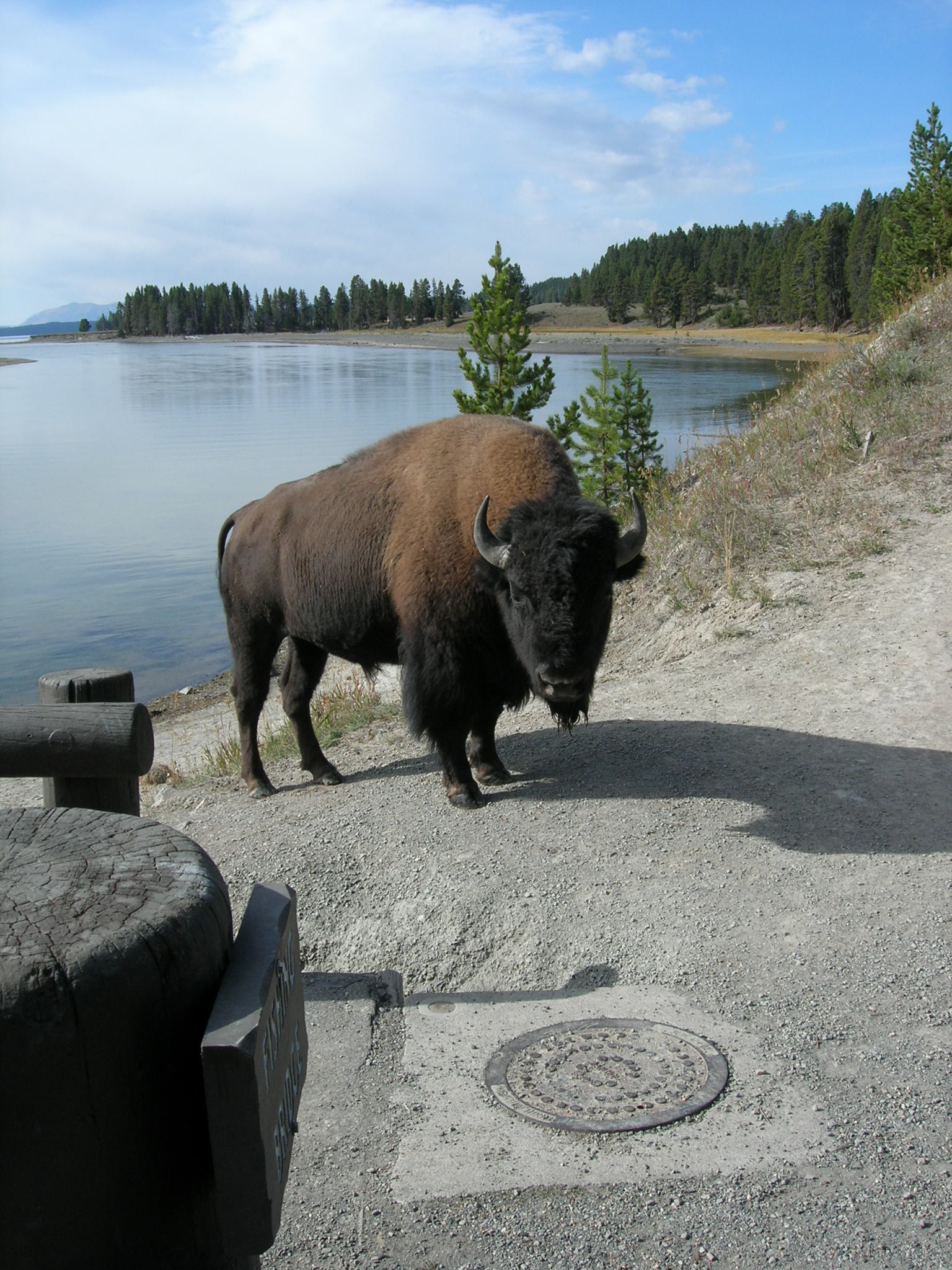 14 Yellowstone NP.jpg