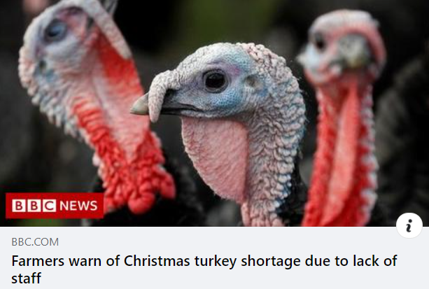 Turkey.PNG