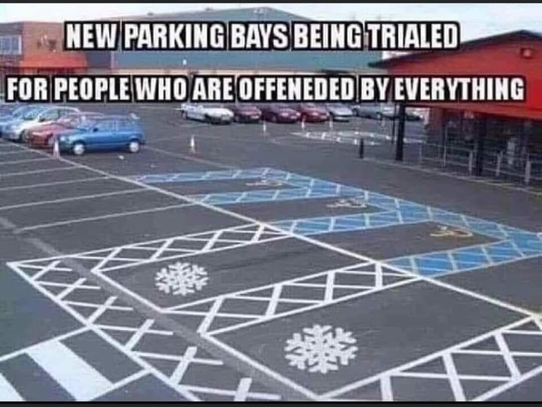 SnowflakeParking.jpg