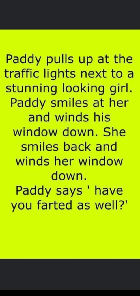 paddy.jpg