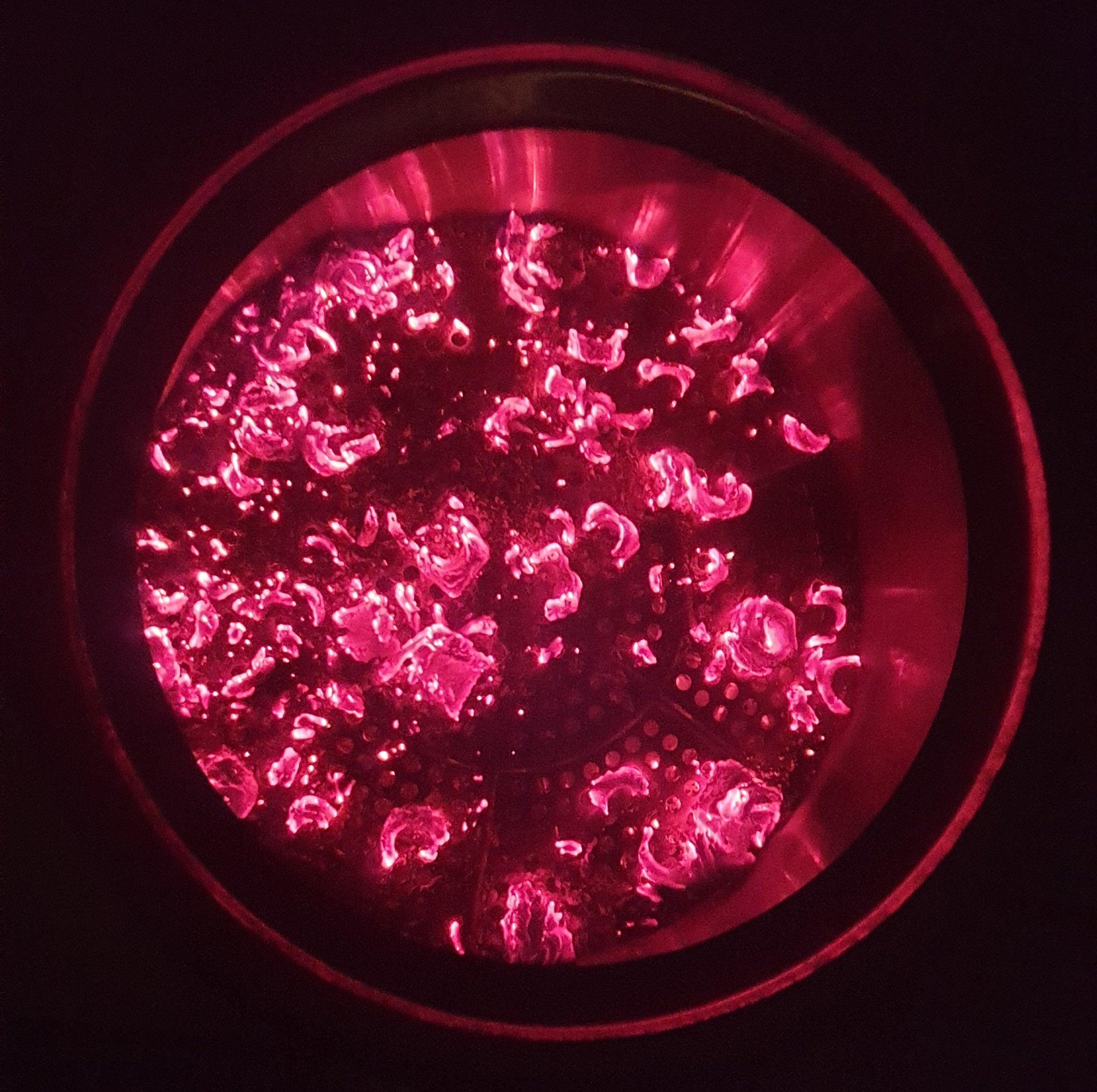 20230917_150231.jpg