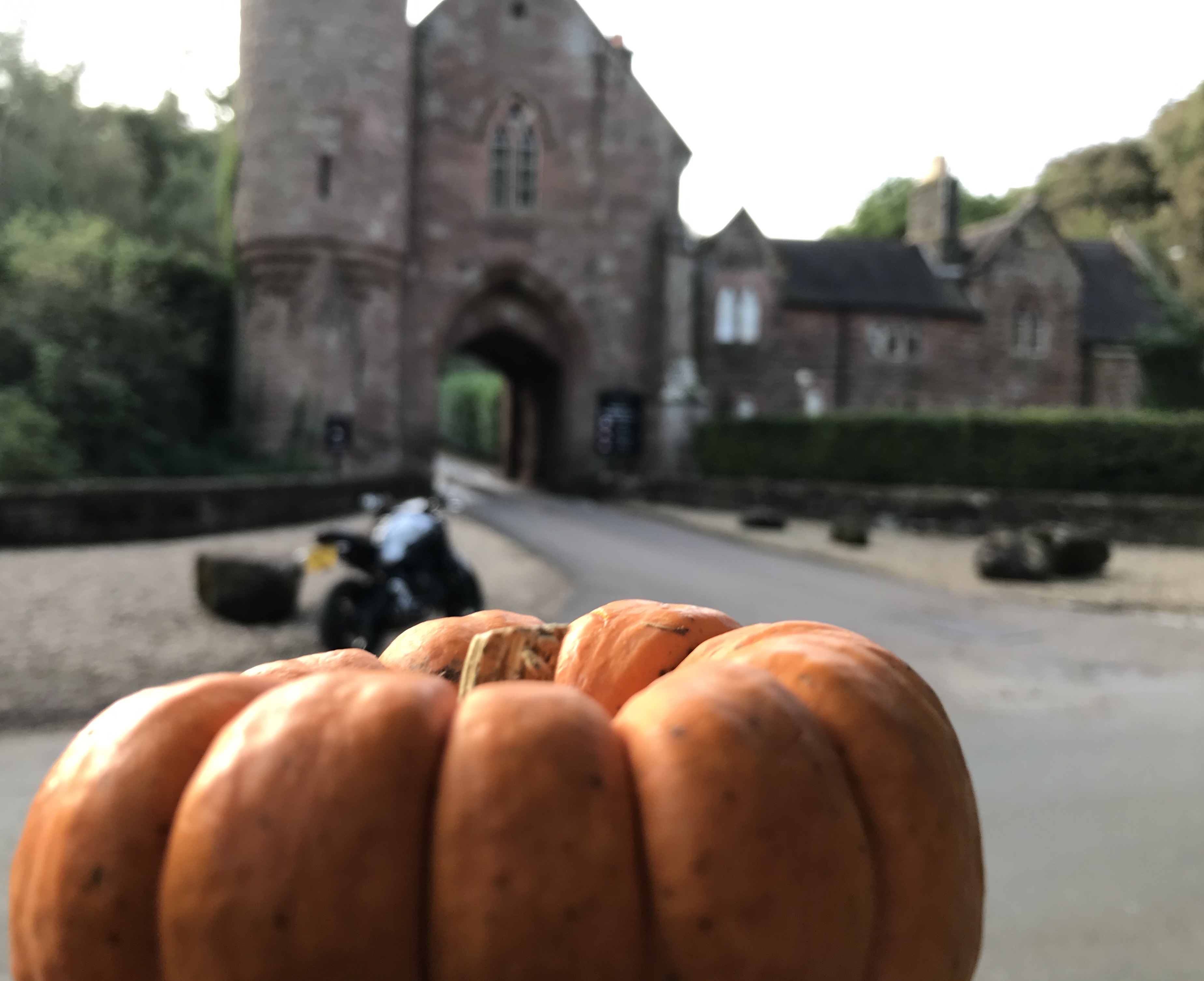 IMG_8793.jpeg