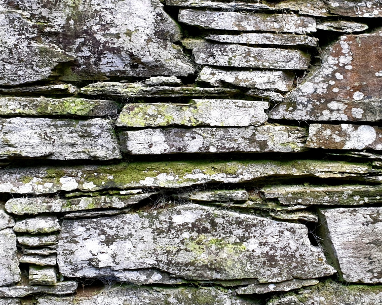 20231230_211212.jpg