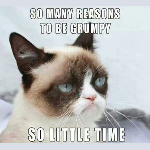 grumpy-cat-meme-00-300x300.jpg