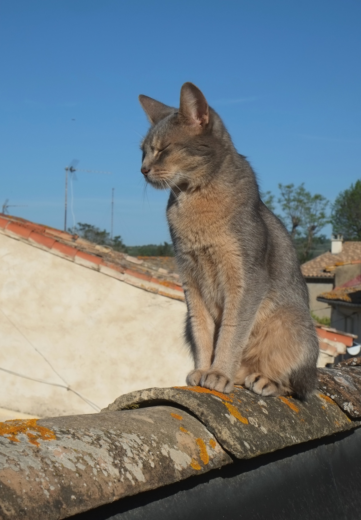 DSCF4175.JPG